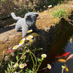 Class One - Image 6